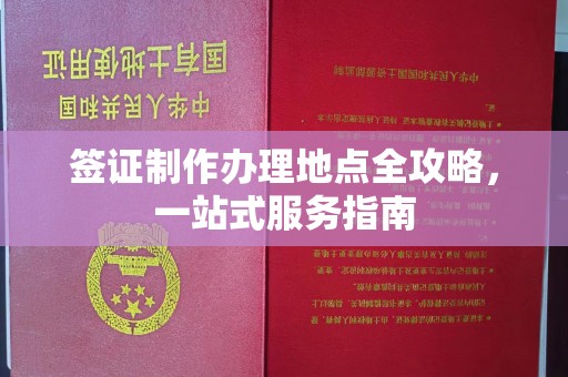 托里签证制作办理地点全攻略，一站式服务指南