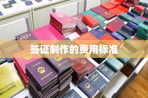 鲁甸签证制作的费用标准